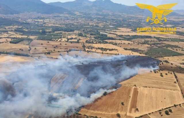 Gonnosfanadiga, incendio in campagna: in volo due elicotteri