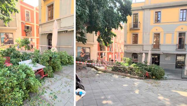Cagliari, paura davanti al Bastione: grosso ramo crolla sui tavolini di "Locanda Caddeo "