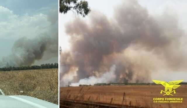 Spaventoso incendio a Villasor: fuoco nei campi e nel bosco "polmone verde", dirottato un canadair