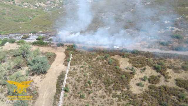 Lotta antincendio rafforzata in Sardegna: impegnate le squadre francesi, estoni e austriache
