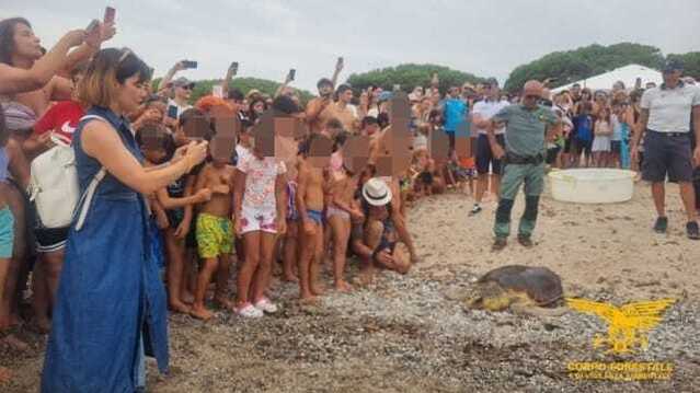 Tortolì, caretta caretta resta impigliata in un groviglio di cime e nylon: salvata e rimessa in libertà