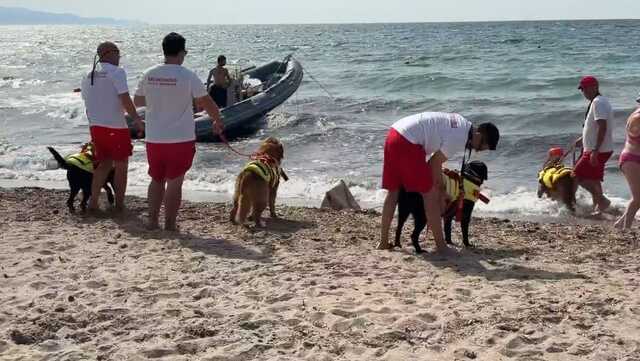 "In due anni 41 morti nelle spiagge sarde": prove di salvataggio e lezioni di sicurezza al Poetto di Quartu