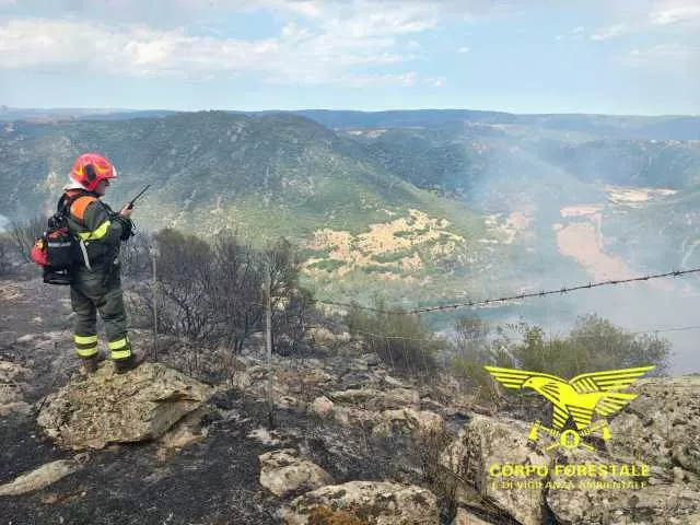 Bonorva, grosso incendio nelle campagne: due elicotteri in volo