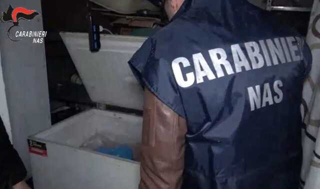 Dall'infestazione di blatte in ristorante agli escrementi di volatili in una comunità per anziani: ispezioni dei Nas e chiusure da Quartu a Cagliari