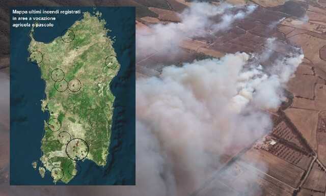 Roghi devastanti in Sardegna, il comparto zootecnico trema: "Danni per più di 10 milioni di euro"