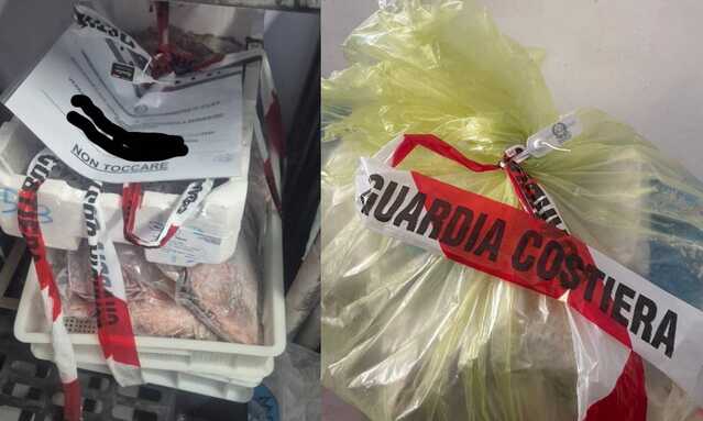 Tonno e gamberi senza tracciabilità, pesci venduti oltre la data di scadenza: sequestro da 36 chili in un ristorante e due pescherie tra Quartu e Cagliari