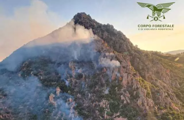 Fiamme nelle campagne di Loceri: 