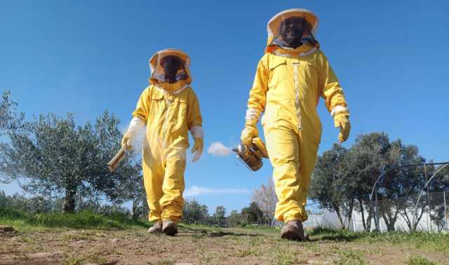 Miele Di Luna Inclusione e apicoltura, la filiera agricola diventa sociale con