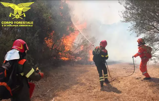 Carenza di personale e organico troppo vecchio: il Corpo Forestale proclama lo sciopero in Sardegna