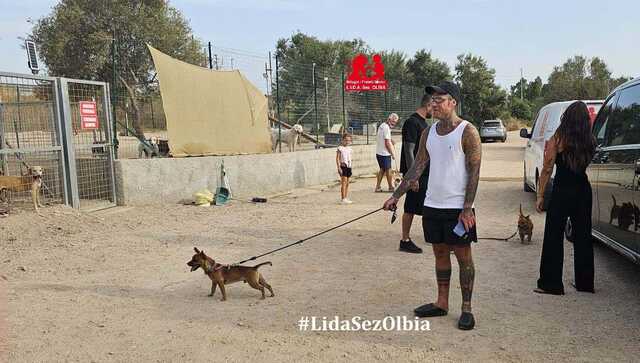 Olbia, Fedez e la compagna visitano il canile Lida: "Arrivati carichi di cibo sono rimasti con noi sotto il sole cocente"