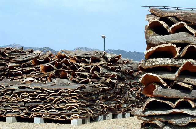 Buddusò, ruba 4mila plance di sughero del comune ma erano contrassegnate: sequestro da 230mila euro