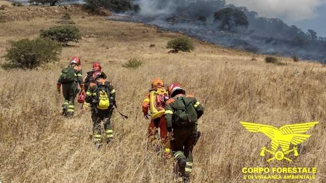 Caldo estremo e incendi, un'estate da incubo per gli agricoltori: in Sardegna pascoli e coltivazioni in cenere