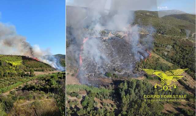 Grande incendio a Senorbì, ma le fiamme si spostano a Sant'Andrea Frius: elicotteri in volo