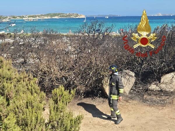 La Maddalena, le fiamme nella vegetazione raggiungono un chiosco: distrutto