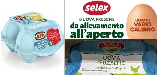 Salmonella nella uova, il ministero diffonde il richiamo per rischio microbiologico per diverse marche 