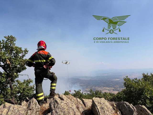 Thiesi, grosso incendio nella zona "Binza Manna": mezzi aerei e squadre a terra contro il fuoco