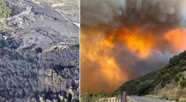 Il dolore di Arzana per il patrimonio boschivo in cenere: "Leccete secolari bruciate, i nostri figli non le conosceranno mai"