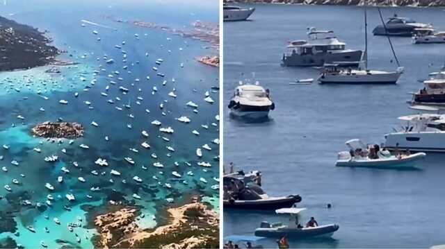 Più di 6000 barche al giorno a La Maddalena, la Regione al Ministero: "Progressivo degrado delle praterie di posidonia"