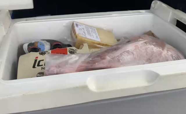 Controlli per la peste suina agli sbarchi a Porto Torres: sequestrata coscia di cinghiale in una borsa frigo