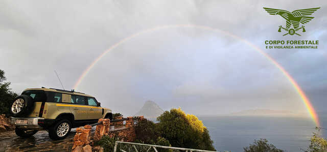 Discariche, specie protette uccise e salvataggi: due mesi intensi per il corpo forestale