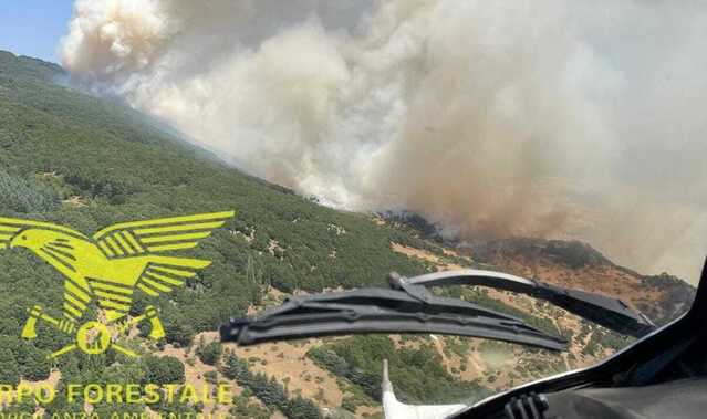Incendi da Aglientu a Nughedu Santa Vittoria, elicotteri in volo e squadre a terra per domare le fiamme in Sardegna