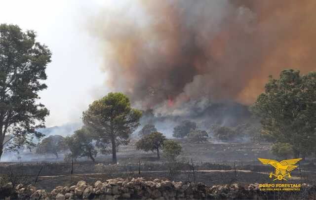 L'incendio a Giave è sempre più esteso: minacciato anche un parco fotovoltaico: arrivano due Canadair da Olbia