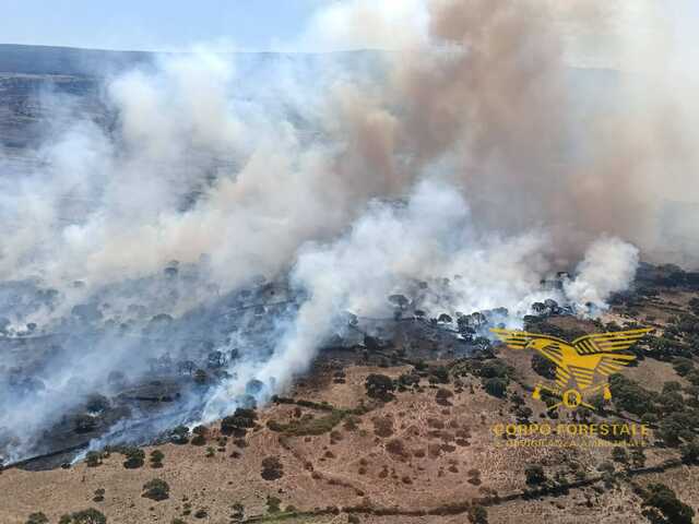 Ancora fuoco in Sardegna: fiamme a Villagrande e Sagama, tre elicotteri in azione