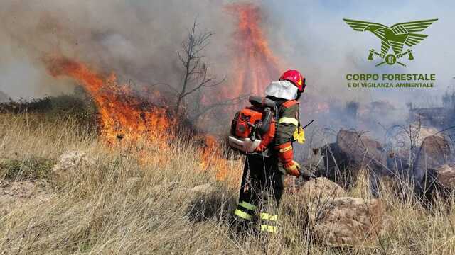 Ancora incendi in Sardegna: elicotteri e Canadair in volo nell'Oristanese