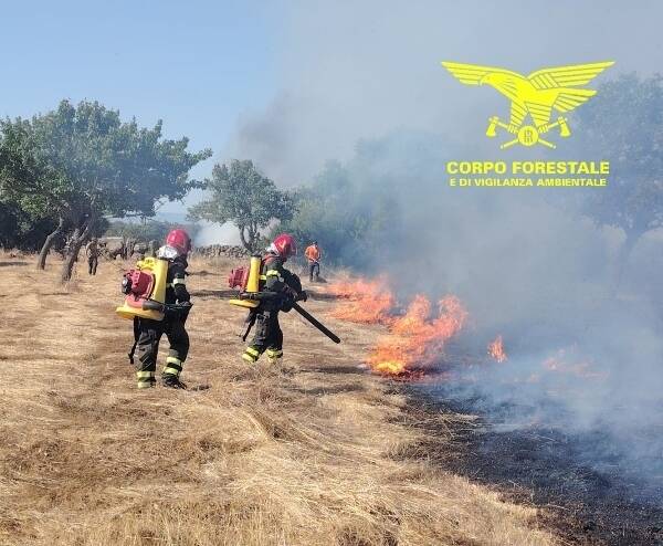 Ancora fiamme in Sardegna: un incendio sta distruggendo le campagne di Terralba