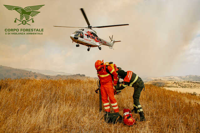 Sorpreso dalle telecamere mentre lancia un ordigno incendiario: condannato a 4 anni per il rogo di Pula