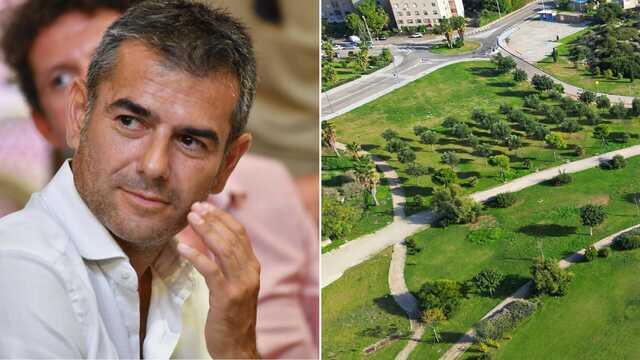 Non solo vele, a Cagliari anche 1000 nuovi alberi contro il caldo