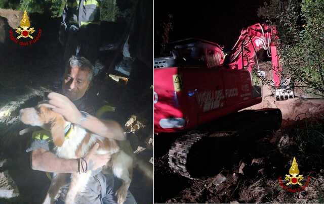 Cane cade in una cavità di sei mesi: intervento complesso per salvargli la vita a Nuoro