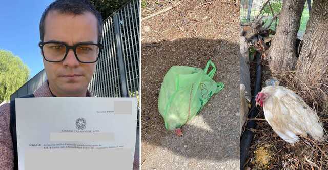 La Sardegna nel mirino dell'animalista Rizzi: gallina in una busta, cani maltrattati e una presunta truffa