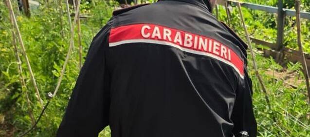 Ottana, extracomunitari segregati in un casolare a coltivare droga: cinque denunciati 