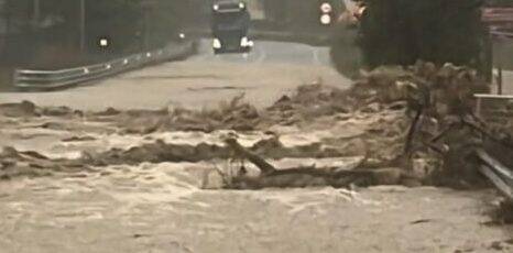 Un albero piomba sulla sua auto: militare cagliaritano muore a Jesolo, aveva 46 anni