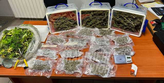 Tonara, in casa nascondeva un laboratorio di marijuana: arrestato un muratore incensurato