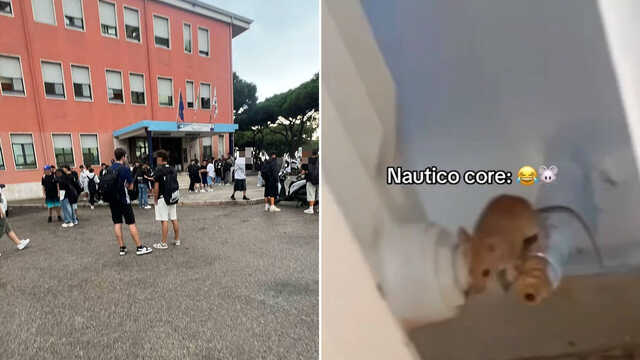 Topi in classe a Cagliari: chiuse per disinfestazione le scuole “Ciusa” e “Buccari-Marconi”