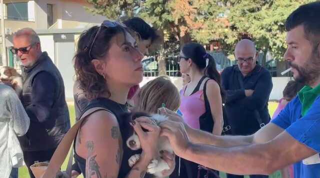 Microchip gratuiti e incentivi alle adozioni per le "Zampette Quartesi": il Comune si prende cura degli animali
