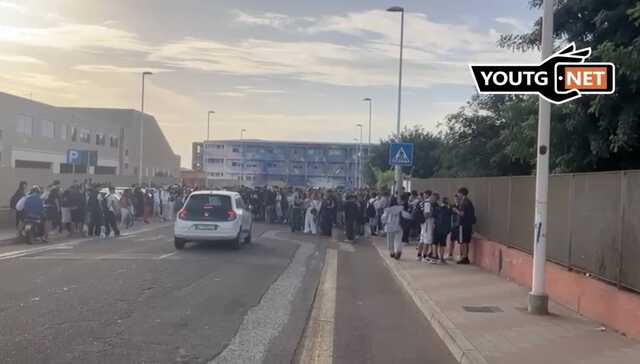 A Cagliari è emergenza topi nelle scuole, un'altra sede chiusa: "bonifica urgente" al Martini 