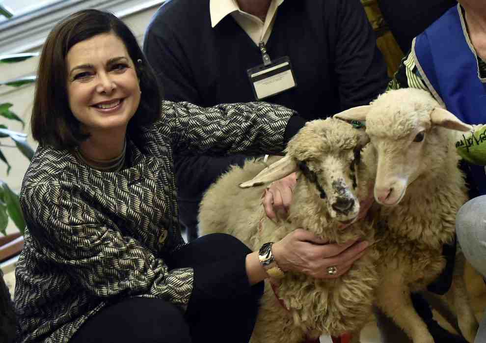 Boldrini 3