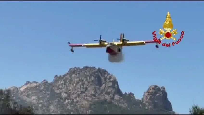 Canadair Arz Devastante incendio in a Portisco: elicotteri, canadair e vasto dispiegamento di soccorsi a terra