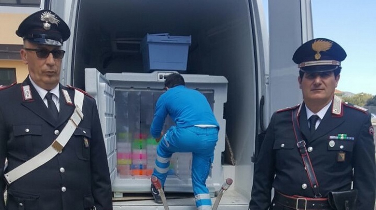 Carabinieri Shardna