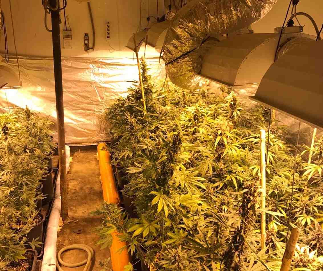 Droga Elmas 3 C