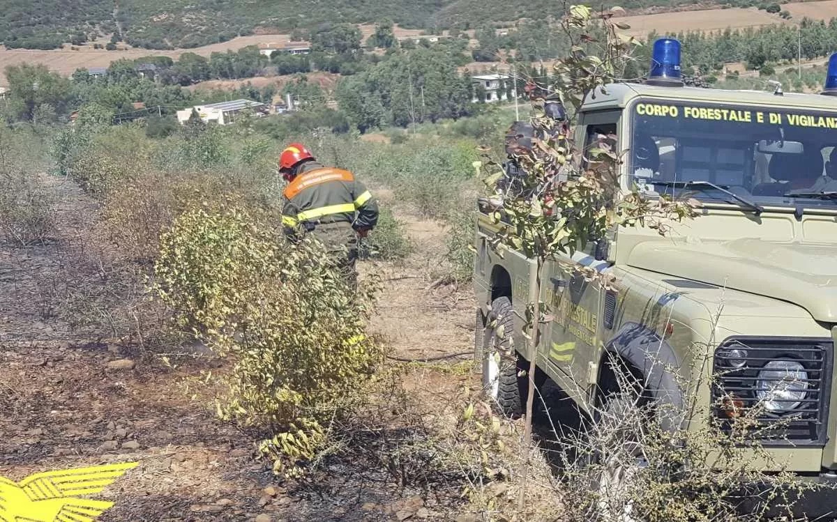Incendi tra Villasor, San Sperate, Monastir e Decimo: beccato il presunto piromane