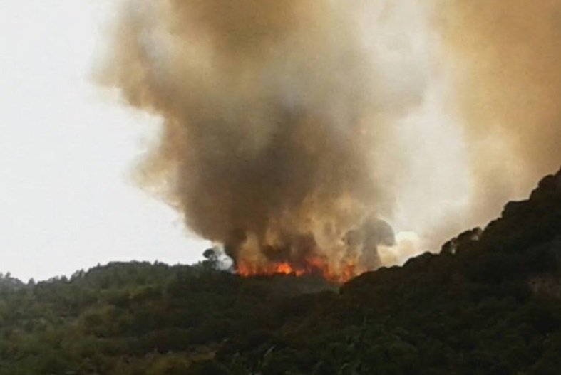 Incendio Belvì 2