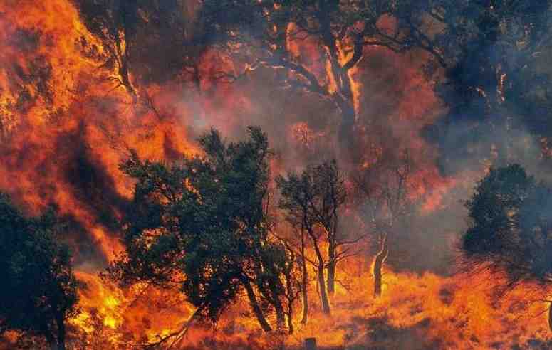 Incendio Generico 2