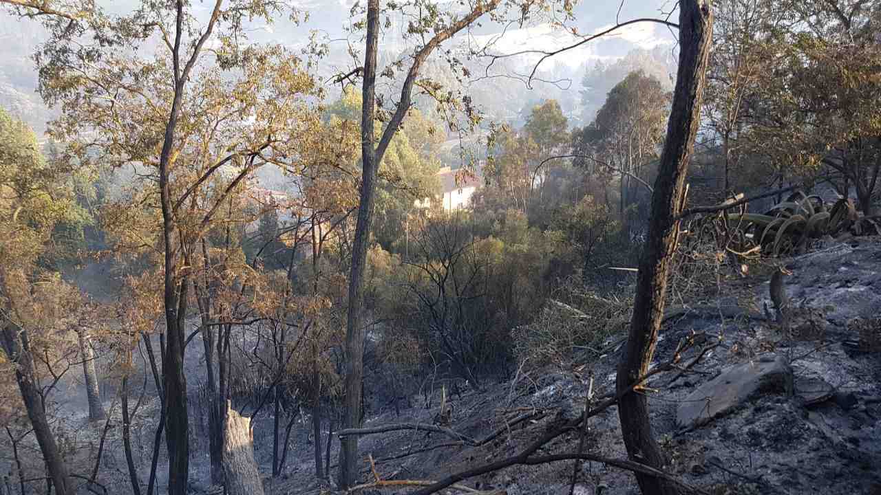 Incendio Iglesias A Monteponi Altre 5