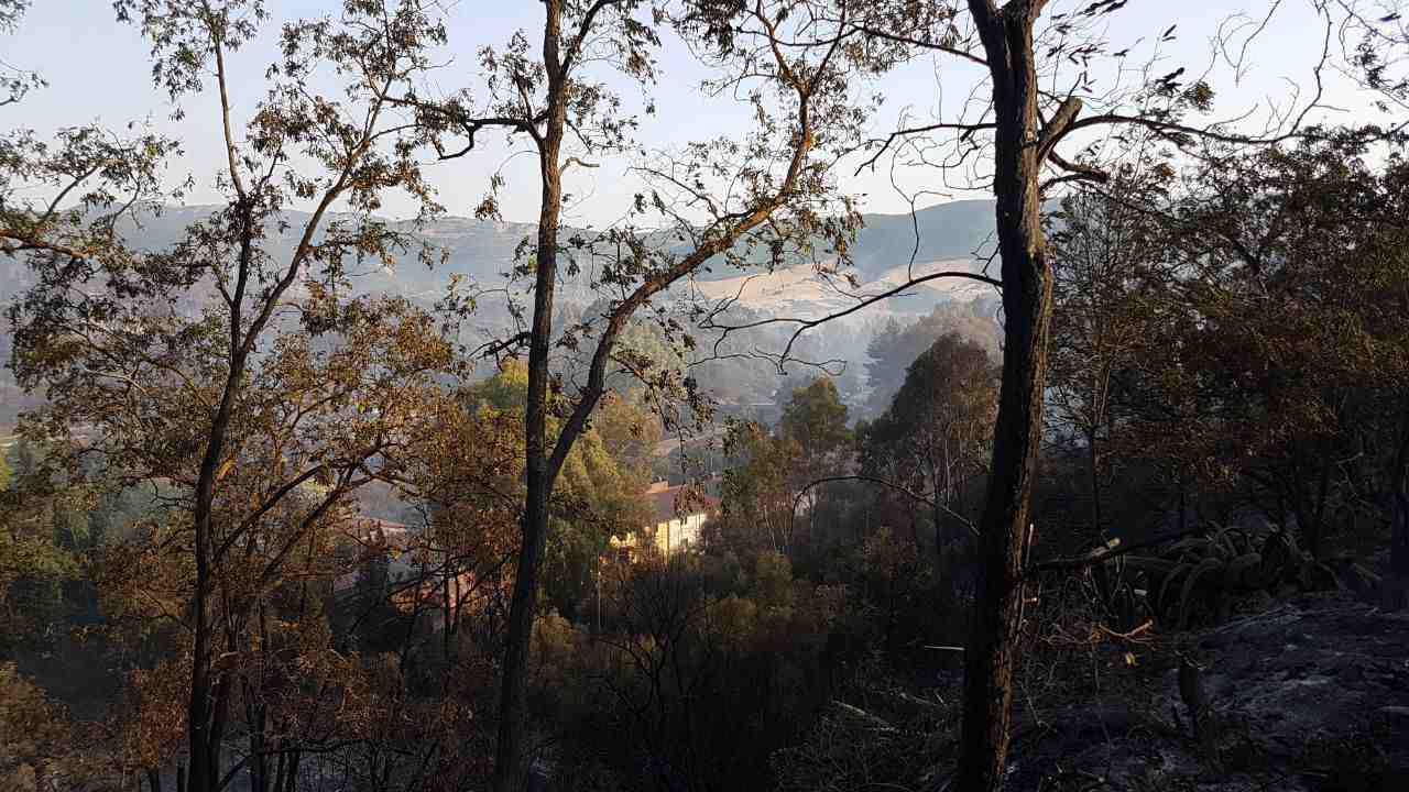 Incendio Iglesias A Monteponi Altre 6