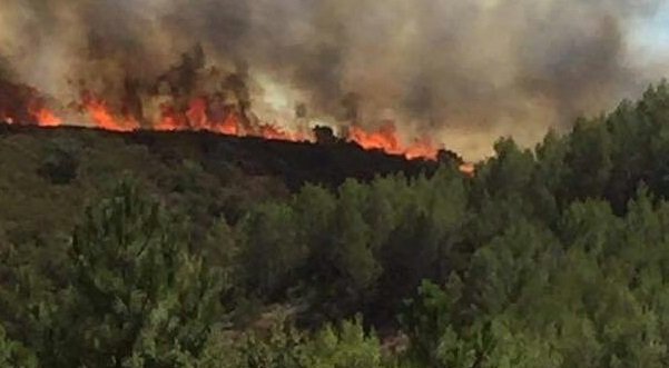 Incendio Sadali