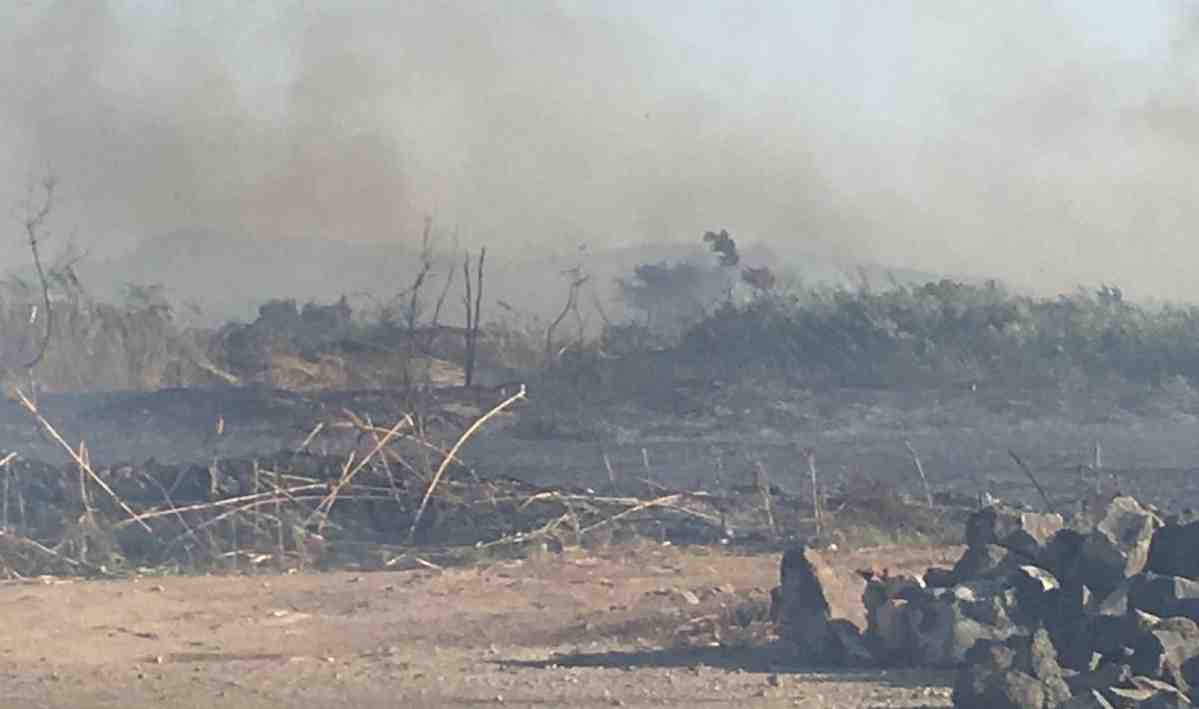 Incendio A Molentargius 8